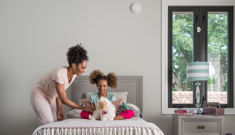 Rockford carbon monoxide detector